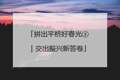 拼出平桥好春光③｜交出振兴新答卷
