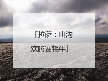 拉萨：山沟欢腾赛牦牛