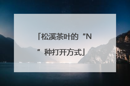 松溪茶叶的“N”种打开方式