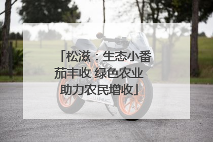 松滋：生态小番茄丰收 绿色农业助力农民增收