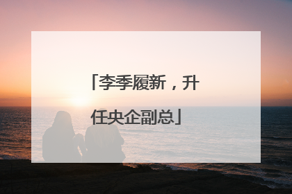 李季履新，升任央企副总