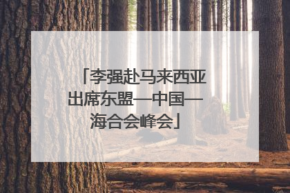 李强赴马来西亚出席东盟—中国—海合会峰会