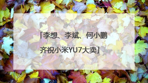 李想、李斌、何小鹏齐祝小米YU7大卖