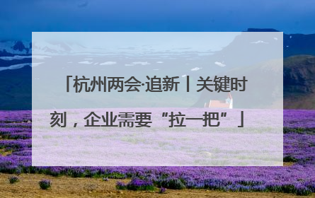 杭州两会·追新丨关键时刻，企业需要“拉一把”
