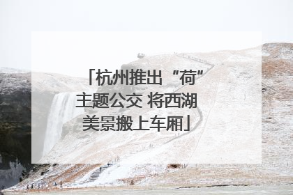 杭州推出“荷”主题公交 将西湖美景搬上车厢