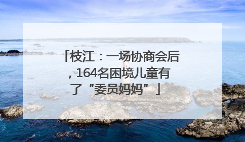 枝江：一场协商会后，164名困境儿童有了“委员妈妈”