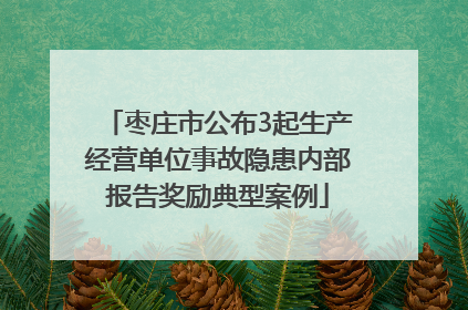 枣庄市公布3起生产经营单位事故隐患内部报告奖励典型案例