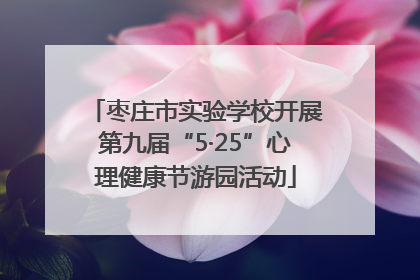 枣庄市实验学校开展第九届“5·25”心理健康节游园活动