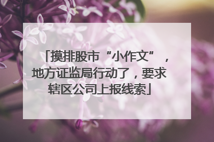 摸排股市“小作文”，地方证监局行动了，要求辖区公司上报线索