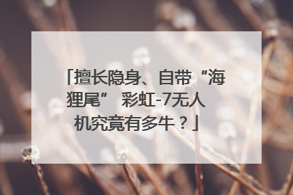 擅长隐身、自带“海狸尾” 彩虹-7无人机究竟有多牛？