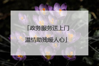 政务服务送上门 温情助残暖人心
