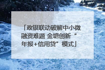 政银联动破解中小微融资难题 金塘创新“年报+信用贷”模式