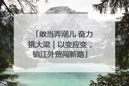 敢当弄潮儿 奋力挑大梁｜以变应变，镇江外贸闯新路