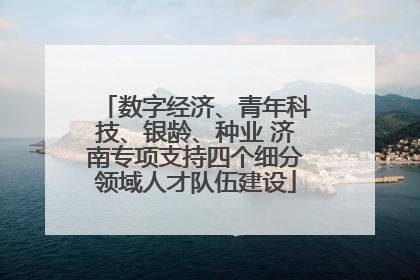 数字经济、青年科技、银龄、种业 济南专项支持四个细分领域人才队伍建设