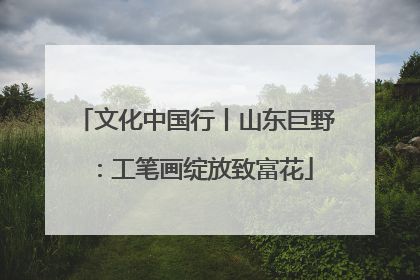 文化中国行丨山东巨野：工笔画绽放致富花