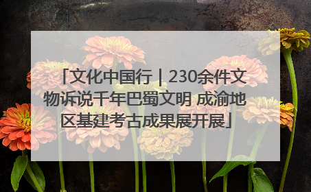 文化中国行｜230余件文物诉说千年巴蜀文明 成渝地区基建考古成果展开展