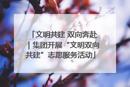 文明共建 双向奔赴｜集团开展“文明双向共建”志愿服务活动