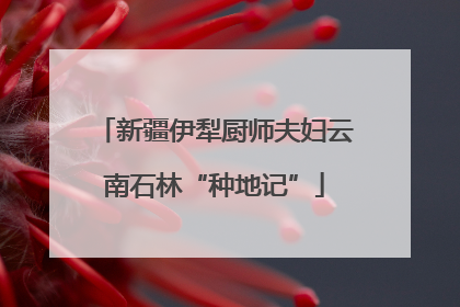 新疆伊犁厨师夫妇云南石林“种地记”