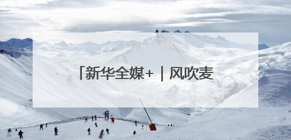 新华全媒+｜风吹麦浪好“丰”景——多地小麦机收一线见闻