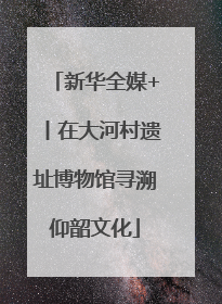 新华全媒+丨在大河村遗址博物馆寻溯仰韶文化