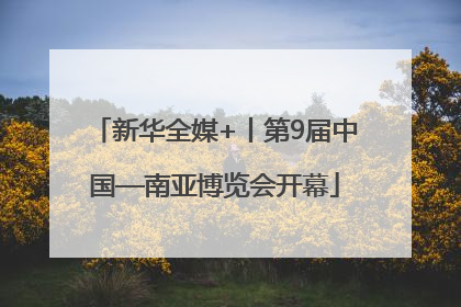 新华全媒+丨第9届中国—南亚博览会开幕
