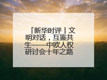 新华时评丨文明对话，互鉴共生——中欧人权研讨会十年之路的深刻启示