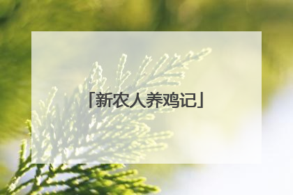 新农人养鸡记