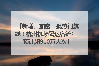 新增、加密一批热门航线！杭州机场暑运客流量预计超910万人次