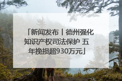 新闻发布丨德州强化知识产权司法保护 五年挽损超930万元