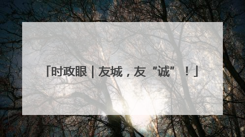 时政眼｜友城，友“诚”！