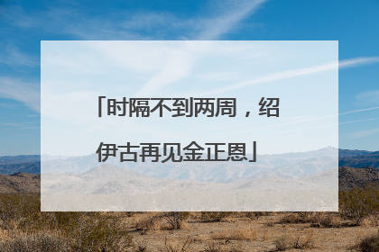 时隔不到两周，绍伊古再见金正恩