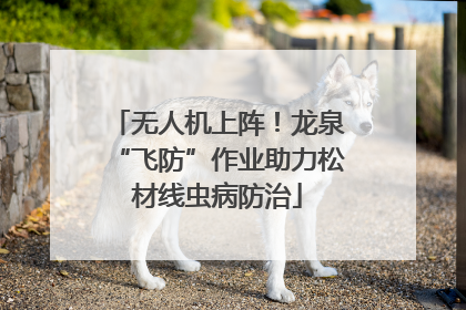 无人机上阵！龙泉“飞防”作业助力松材线虫病防治