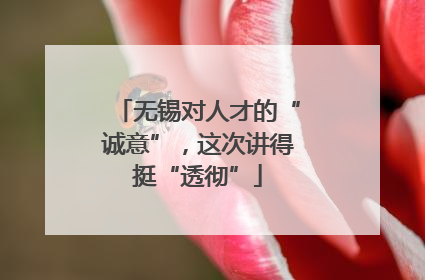 无锡对人才的“诚意”，这次讲得挺“透彻”
