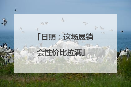 日照：这场展销会性价比拉满