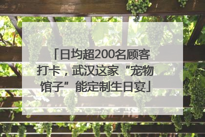 日均超200名顾客打卡，武汉这家“宠物馆子”能定制生日宴