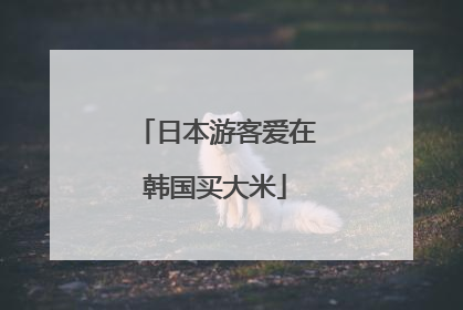 日本游客爱在韩国买大米