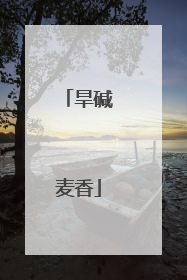 旱碱麦香