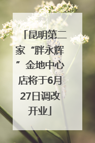 昆明第二家“胖永辉”金地中心店将于6月27日调改开业