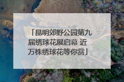 昆明郊野公园第九届绣球花展启幕 近万株绣球花等你赏
