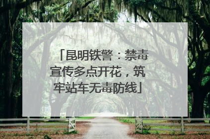 昆明铁警：禁毒宣传多点开花，筑牢站车无毒防线