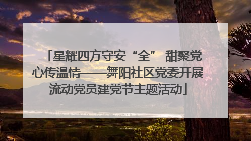 星耀四方守安“全” 甜聚党心传温情——舞阳社区党委开展流动党员建党节主题活动