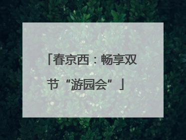 春京西：畅享双节“游园会”