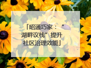 昭通巧家：“湖畔议栈”提升社区治理效能