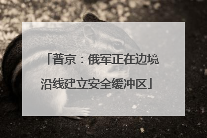普京：俄军正在边境沿线建立安全缓冲区