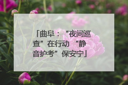 曲阜：“夜间巡查”在行动 “静音护考”保安宁