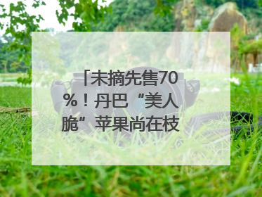 未摘先售70%！丹巴“美人脆”苹果尚在枝头就被预订｜长征路上看四川