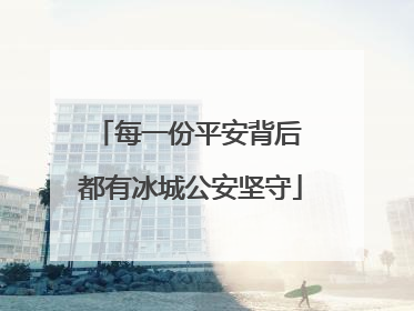 每一份平安背后 都有冰城公安坚守