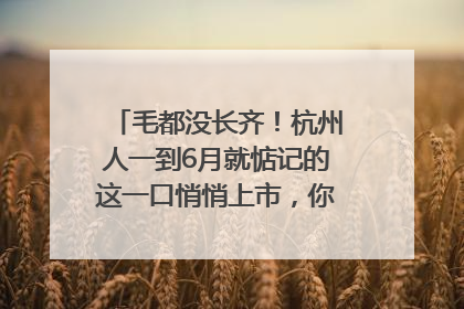 毛都没长齐！杭州人一到6月就惦记的这一口悄悄上市，你打算尝鲜吗？