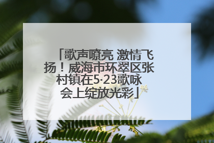 歌声嘹亮 激情飞扬！威海市环翠区张村镇在5·23歌咏会上绽放光彩