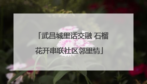 武昌城里话交融 石榴花开串联社区邻里情